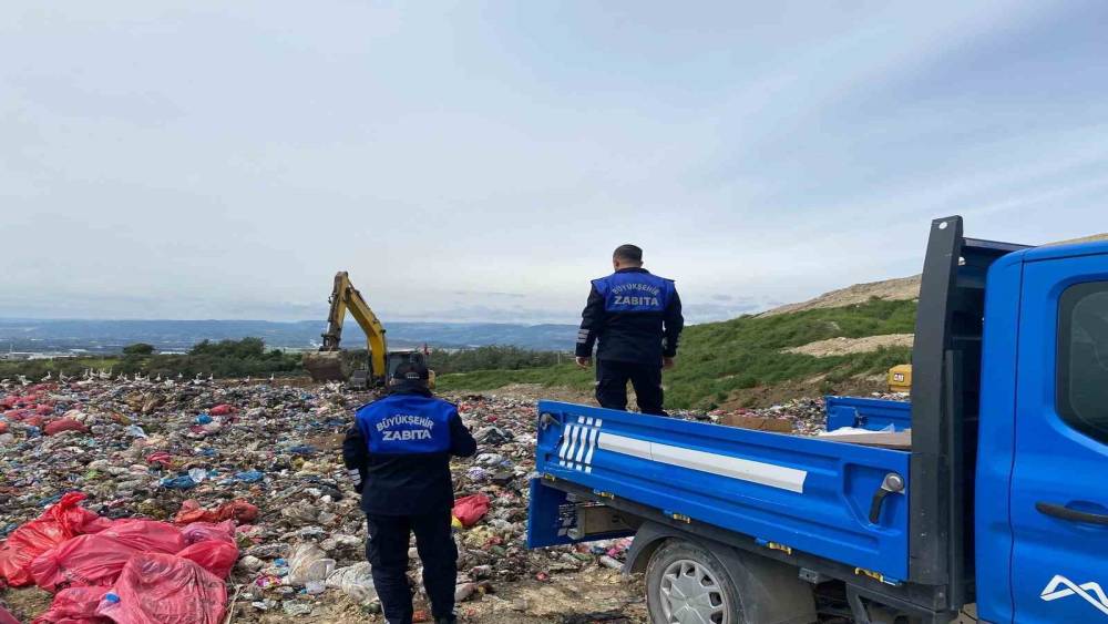 Mersin&rsquo;de sağlıksız şekilde taşınan &ccedil;iğ k&ouml;fte kolilerine el konuldu
