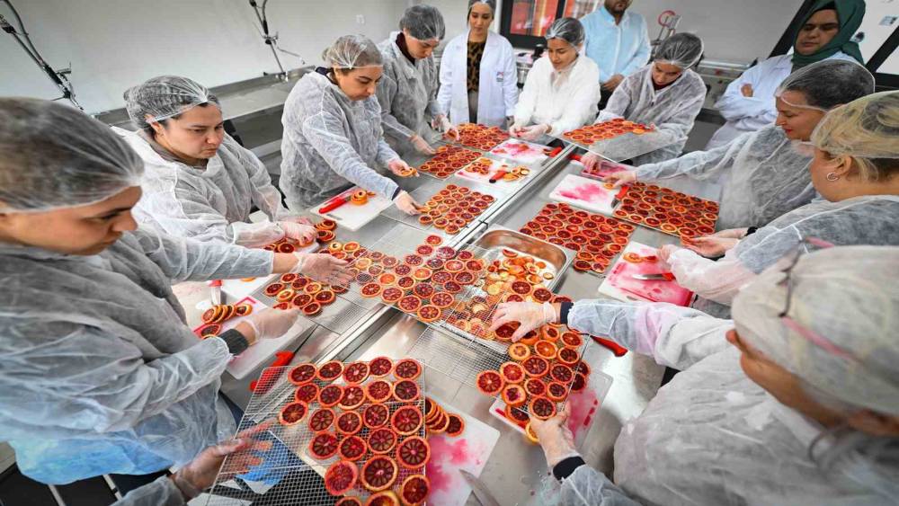 Mersin&rsquo;de kan portakalı kadınların elinde değer kazanıyor
