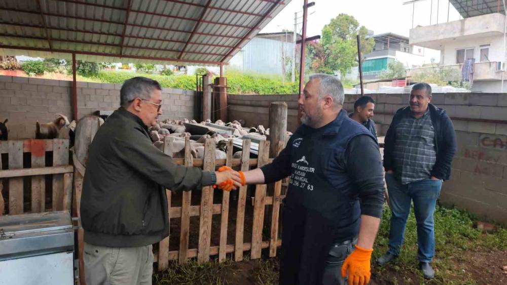 Kurbanlıklar satışa &ccedil;ıktı, pazarlıklar kızıştı
