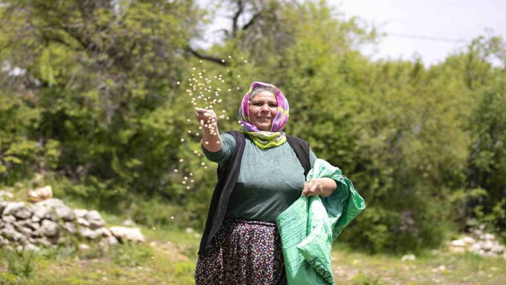 Atalık tohumlar toprakla buluştu, &uuml;reticiye can suyu oldu
