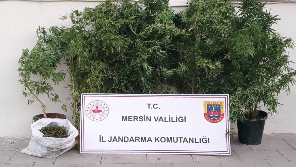 Mersin’de kenevir ekip uyuşturucu üreten şüpheli yakalandı
