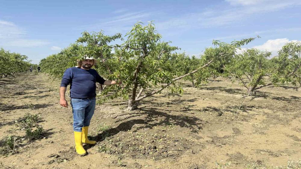 Mersin&rsquo;de selin ardından bah&ccedil;elerde sular yeni &ccedil;ekildi
