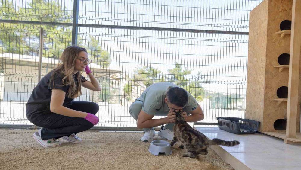 Mersin&rsquo;de yaralı hayvanlar yeniden yaşama tutunuyor
