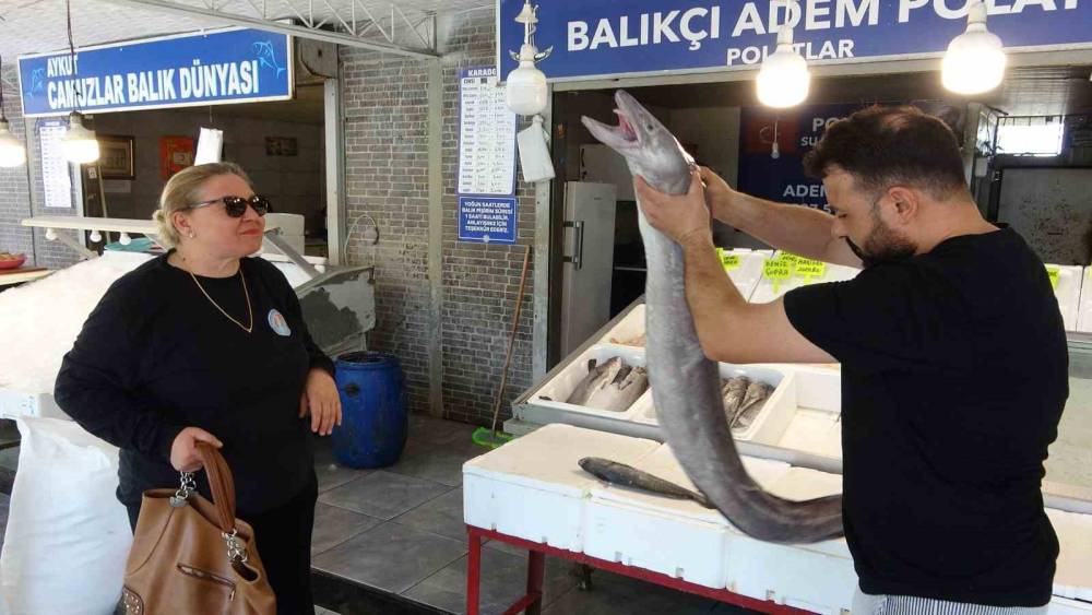 Mersin&rsquo;de dev yılan balığı tezgahta ilgi odağı oldu
