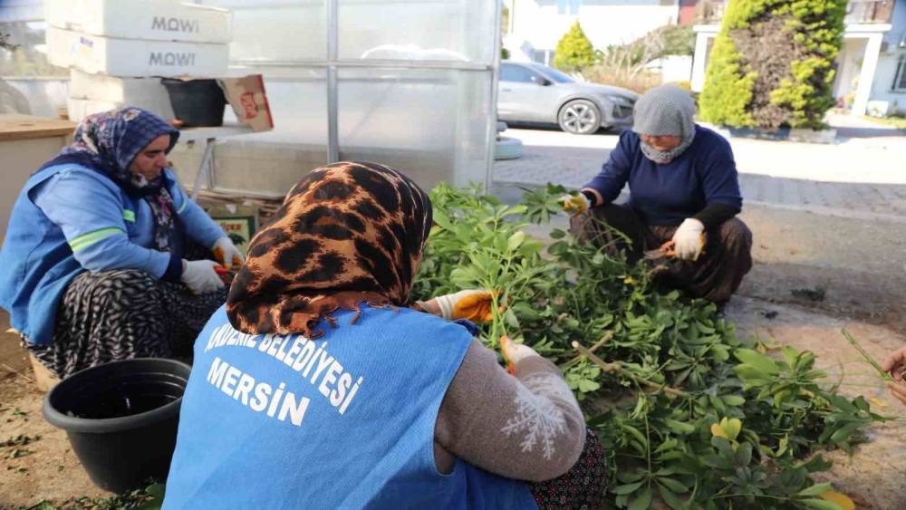 Akdeniz Belediyesi seralarda bitki &uuml;retimini arttırdı
