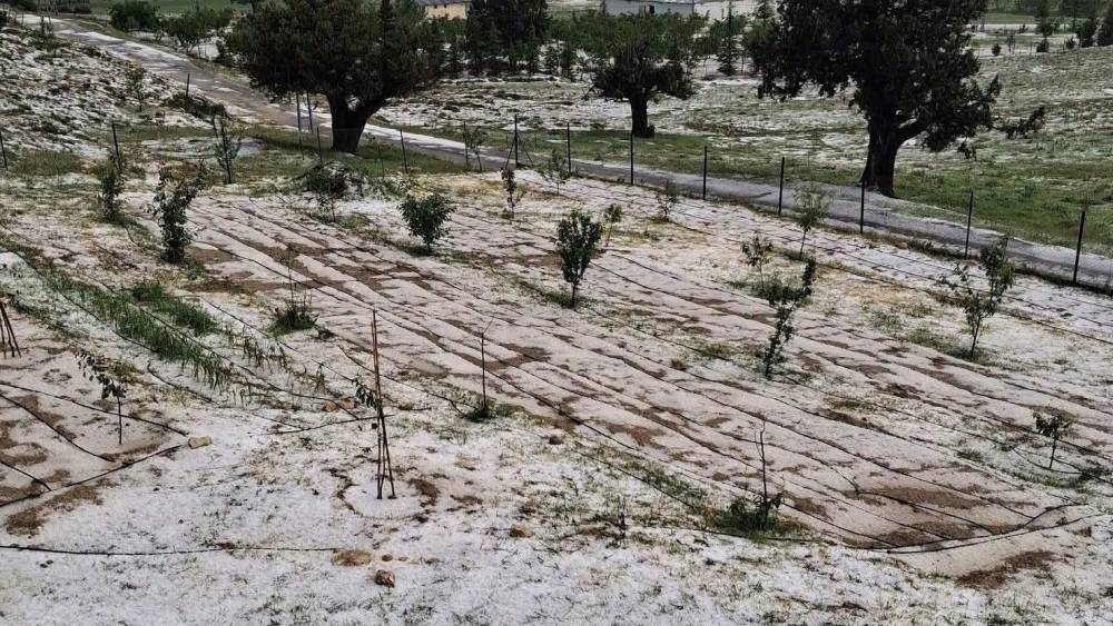 Mersin Erdemli&rsquo;de dolu tarım alanlarına zarar verdi
