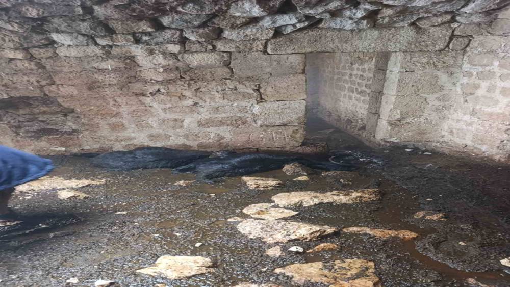 Tarsus&rsquo;ta ahıra yıldırım d&uuml;şt&uuml;: 5 k&uuml;&ccedil;&uuml;kbaş hayvan telef oldu
