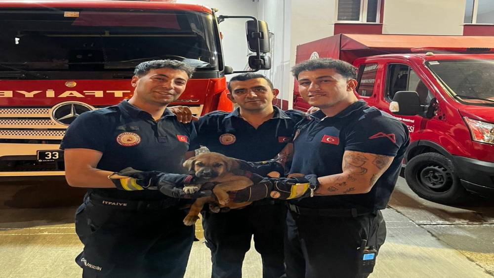 Otomobilin motoruna sıkışan yavru k&ouml;peği itfaiye kurtardı
