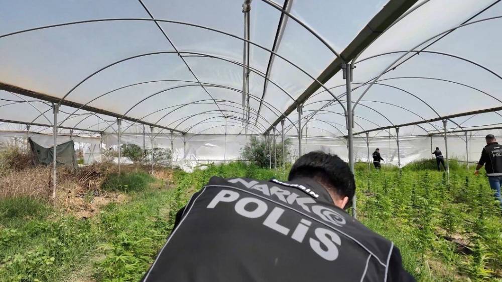 Mersin&rsquo;de seraya baskın: Binlerce k&ouml;k Hint keneviri ele ge&ccedil;irildi
