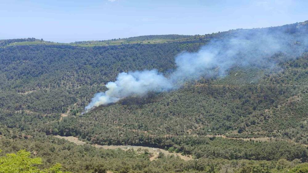Mersin&rsquo;de orman yangını: Ekiplerin m&uuml;dahalesiyle kontrol altına alındı
