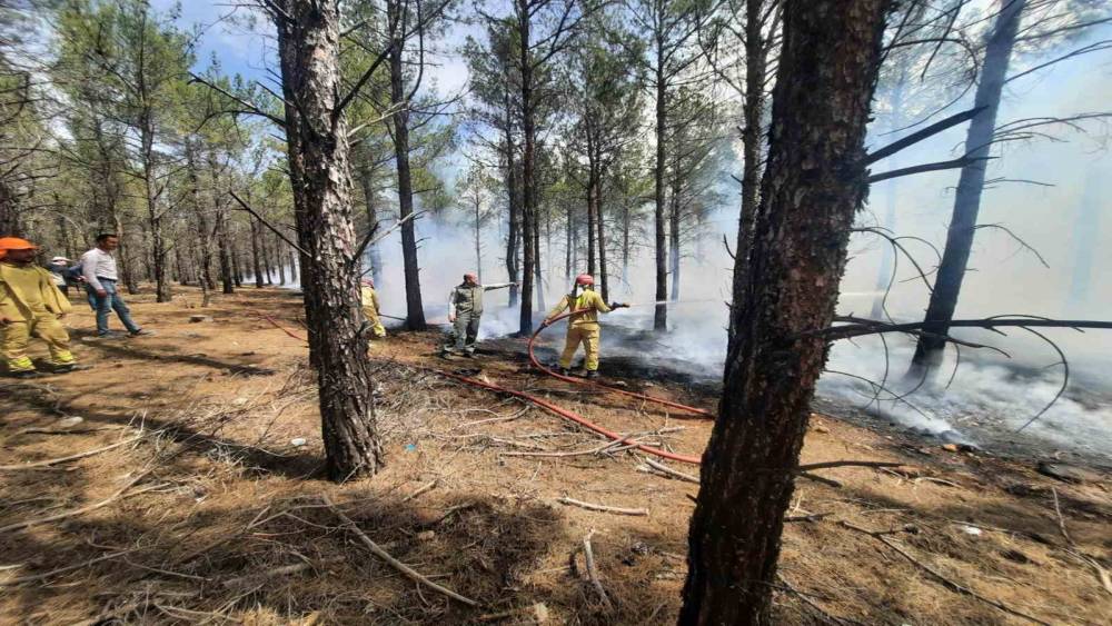 Mersin&rsquo;de orman yangınlarına karşı tatbikat yapıldı
