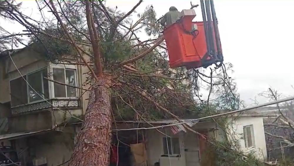 Mersin&rsquo;de fırtına etkili oluyor: Ağa&ccedil; evin &uuml;zerine devrildi
