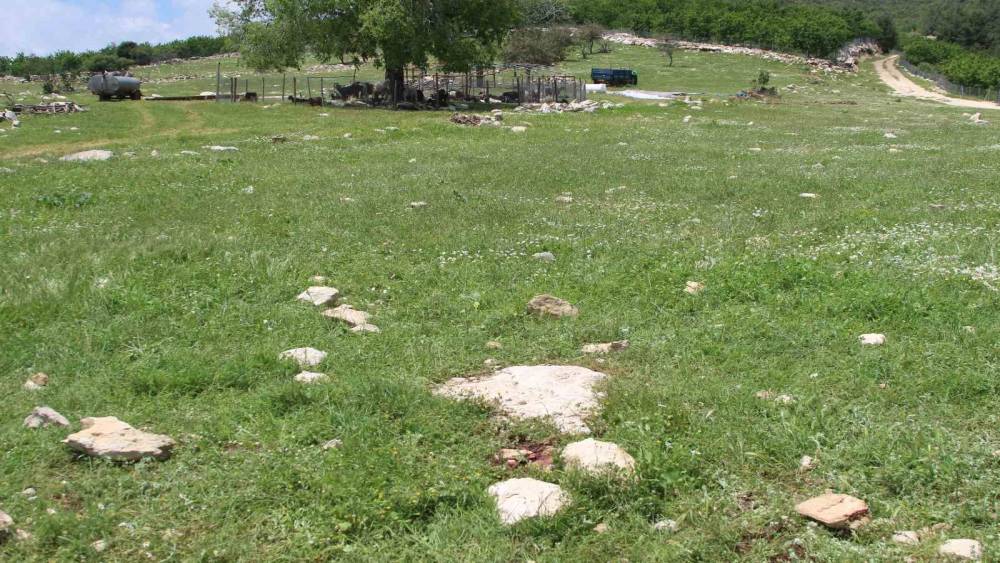 Katilin intihar ettiği yer g&ouml;r&uuml;nt&uuml;lendi: "Fail ka&ccedil;amayacağını anlayınca intihar etmiş"
