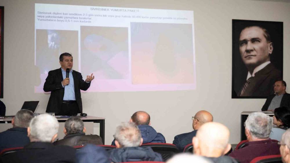 Silifke&rsquo;de haşereyle m&uuml;cadele i&ccedil;in iş birliği &ccedil;ağrısı
