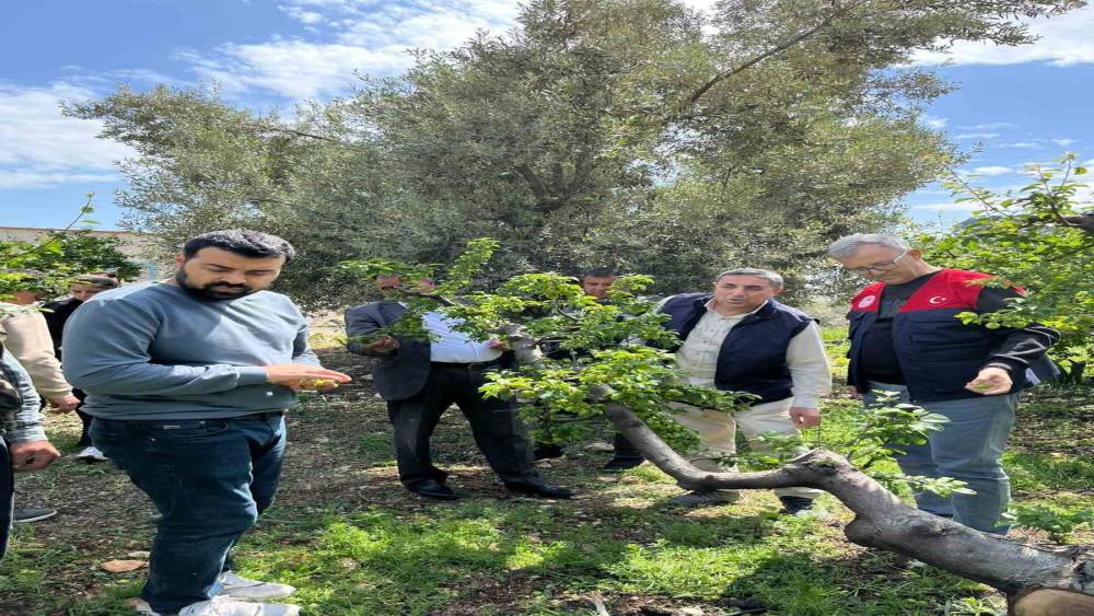 Dolu afeti sonrası hasar tespit &ccedil;alışmalarına başlandı
