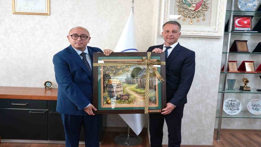 Erdemli ile Romanya&rsquo;nın Braila kenti kardeş şehir oldu
