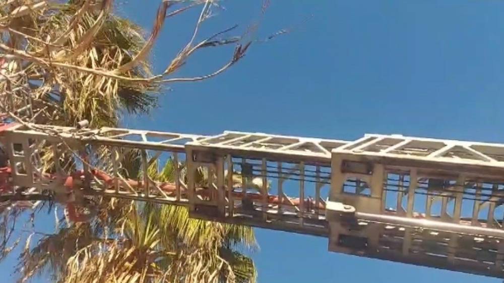 Silifke&rsquo;de y&uuml;rekleri ısıtan kurtarma
