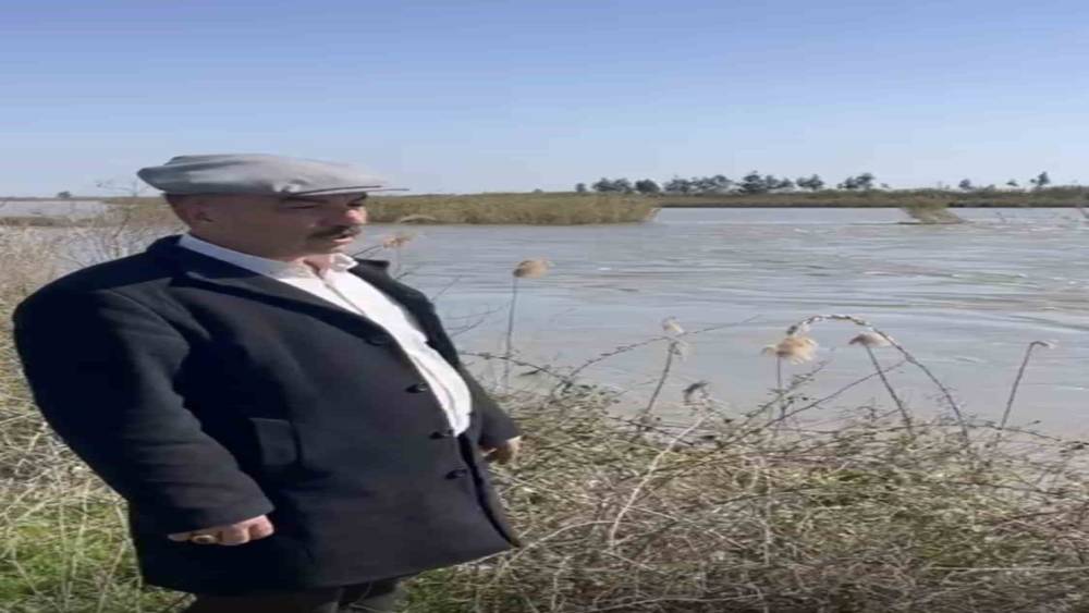 Seyhan Nehri taştı, Tarsus&rsquo;ta bazı tarım arazileri sular altında kaldı
