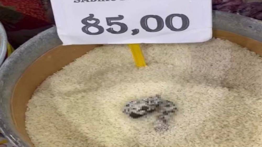 Mersin&rsquo;de skandal g&ouml;r&uuml;nt&uuml;: Pirin&ccedil;ten kedi dışkısı &ccedil;ıkan markete ceza
