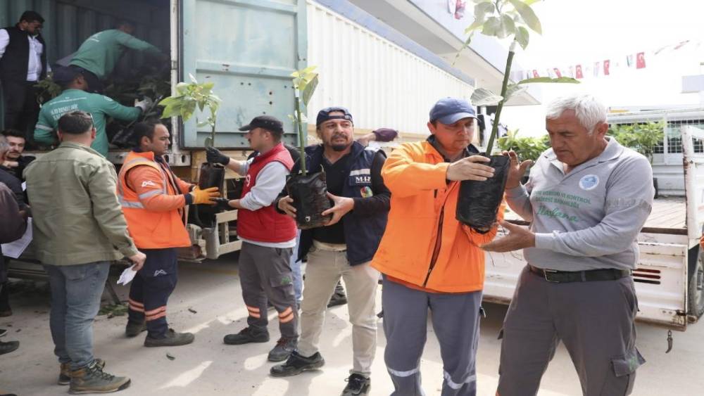 Mersin&rsquo;de &uuml;reticiye avokado fidanı ve destek dağıtımı
