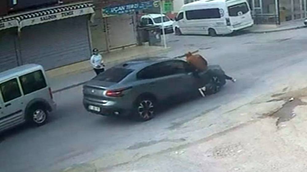 El sallayıp karşıya ge&ccedil;mek isterken otomobil &ccedil;arptı
