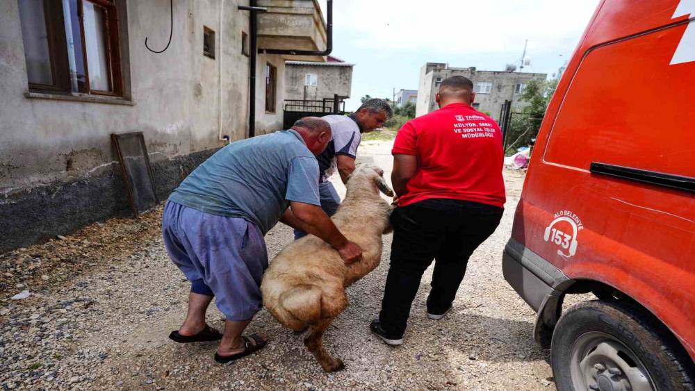 Tarsus Belediyesinden şehit ailelerine bayram desteği
