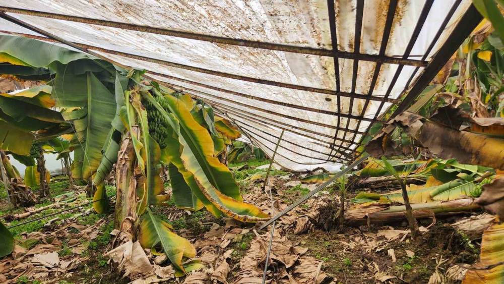 Mersin&rsquo;de dolu sera &ccedil;&ouml;kertti, bah&ccedil;elere zarar verdi
