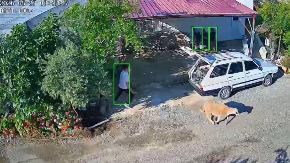 Mersin&rsquo;de kurbanlıklar ka&ccedil;tı, bayram neşesi kameralara yansıdı
