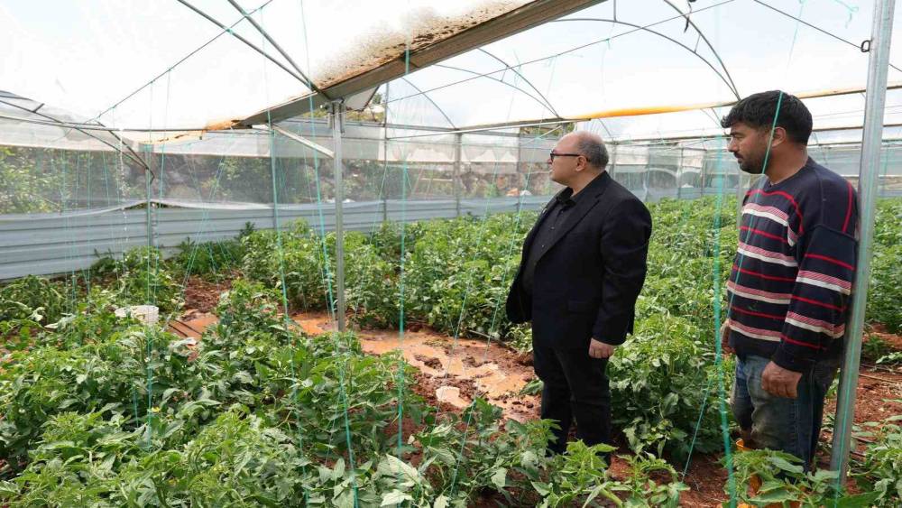 Mersin&rsquo;de dolu, sebze tarlaları ve meyve bah&ccedil;elerine zarar verdi

