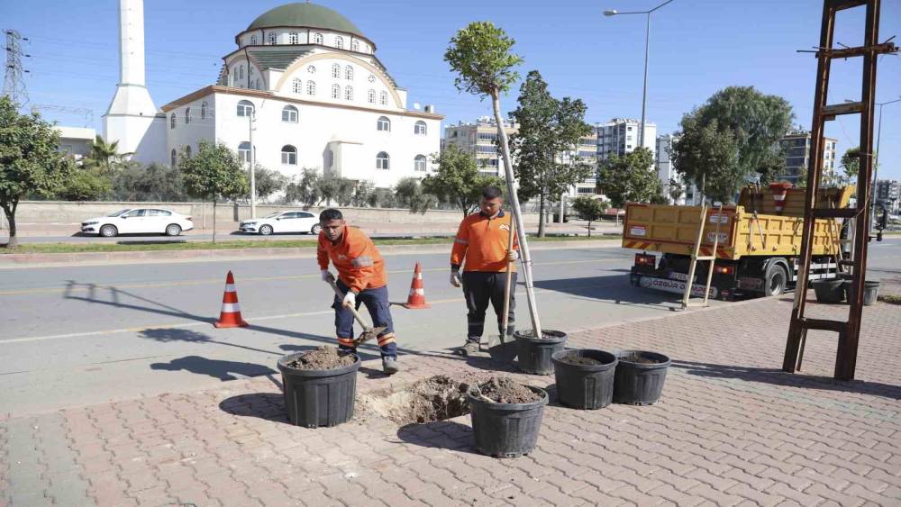Mersin&rsquo;de ağa&ccedil;landırma seferberliği başladı
