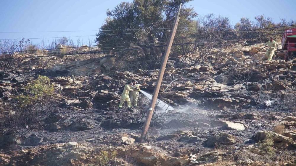 Mersin&rsquo;deki orman yangını: Yangın s&ouml;nd&uuml;r&uuml;ld&uuml;, soğutma &ccedil;alışması s&uuml;r&uuml;yor
