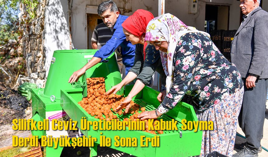 Silifkeli Ceviz Üreticilerinin Kabuk Soyma Derdi Büyükşehir İle Sona Erdi