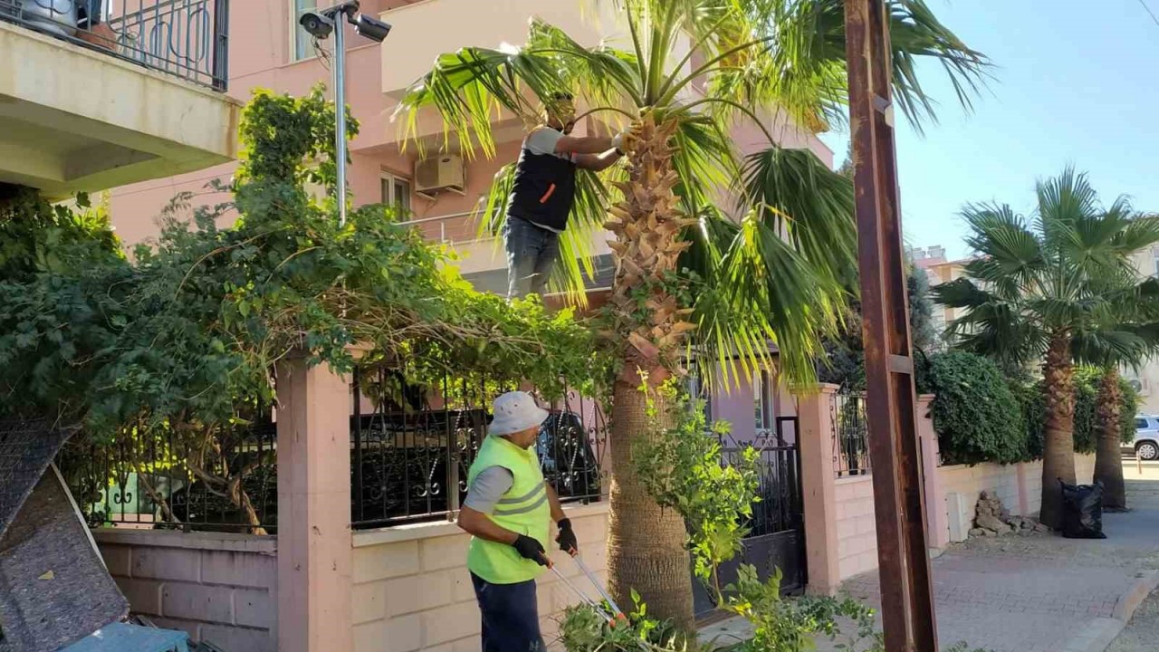 Mut’ta park ve bahçelerin kışlık bakımı devam ediyor