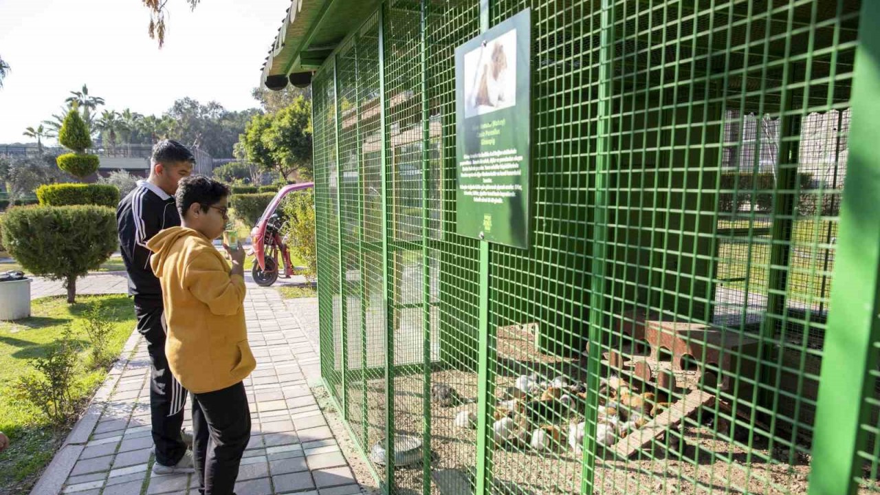 Tarsus Doğa Parkı son bir yılda 400 bin ziyaretçi ağırladı