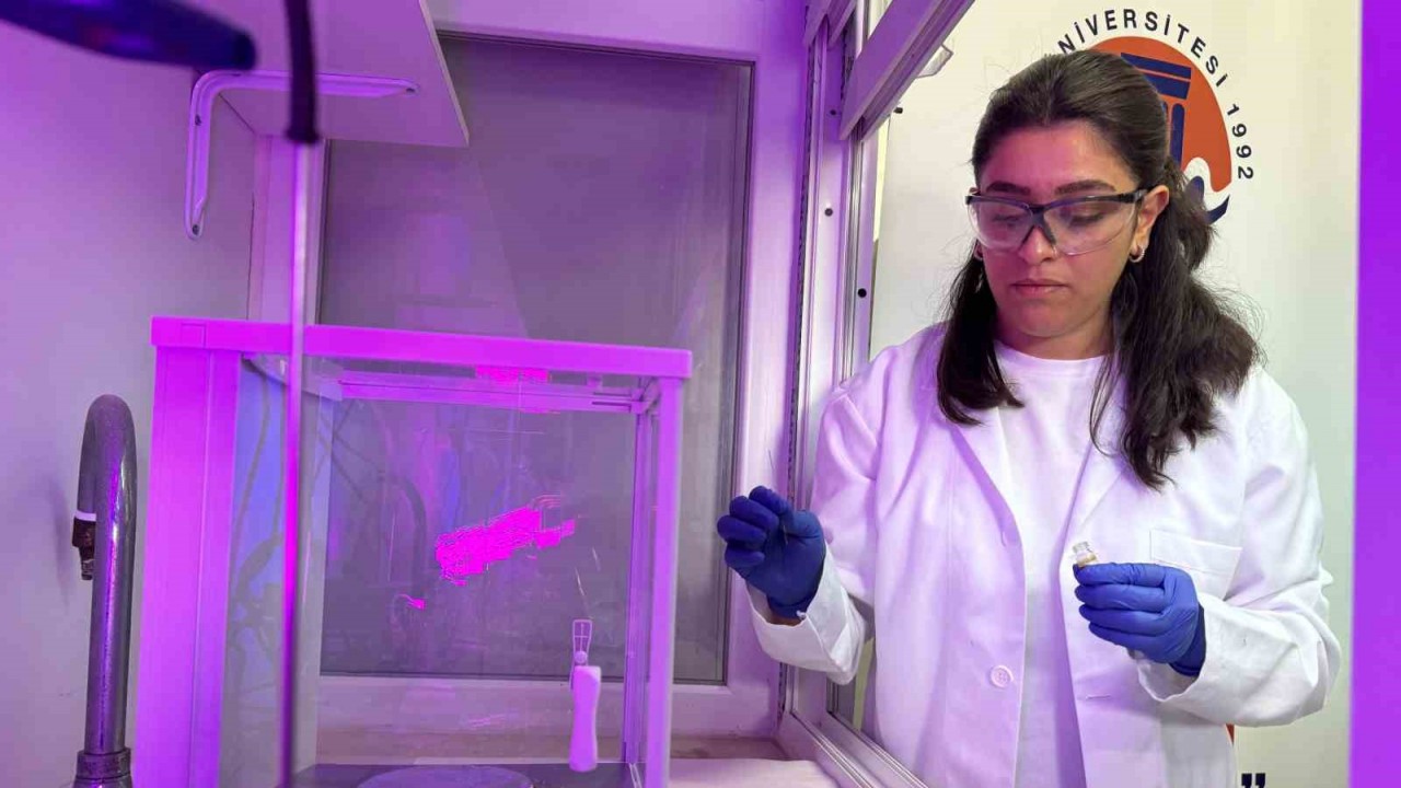 İlaç metabolitlerinin sentezlenmesi konusunda çevre dostu yeni yöntem geliştirdiler