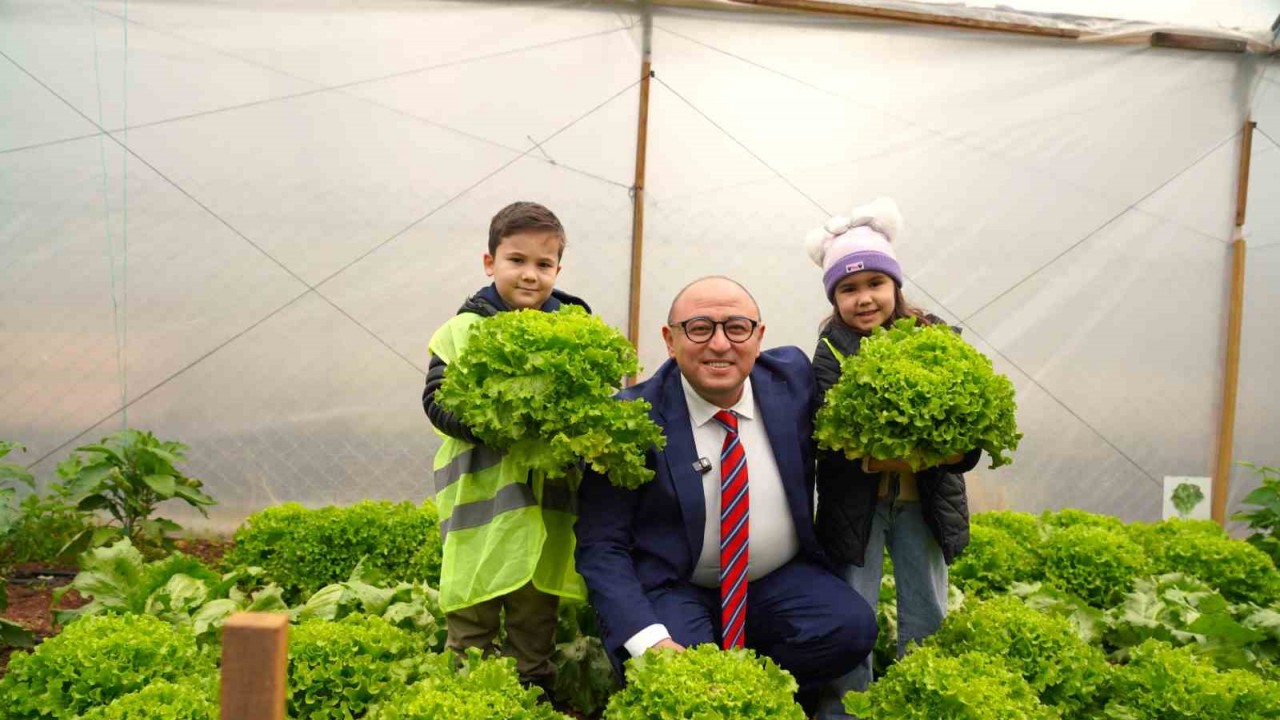 Çocuklar, serada yetiştirdikleri ürünleri hasat etti