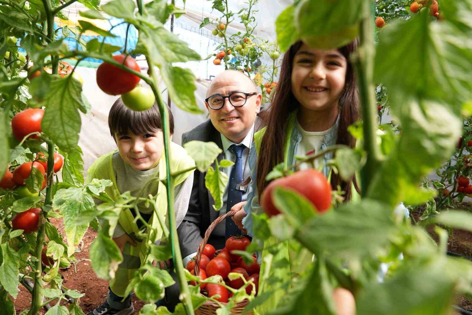 Minikler ’Çocuk Serası’nda yetiştirdikleri ürünleri hasat etti