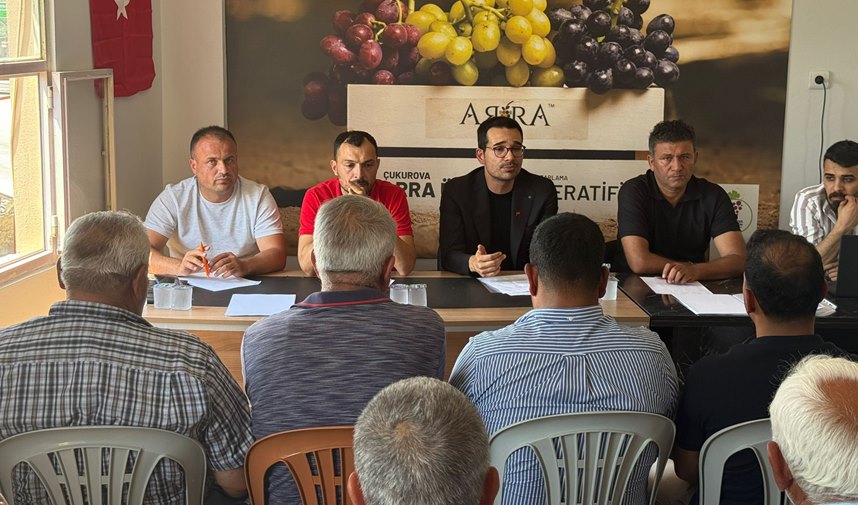 Tarsus'ta Arra Üzüm Üreticileri Kooperatifi Kuruldu: Kaliteli Üretim İçin Güç Birliği