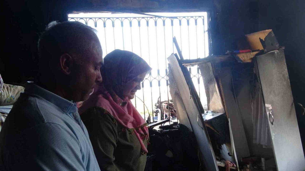 En mutlu günlerinde evleri yakılmıştı: Enkazdan 6 gün sonra yavru kedi çıktı