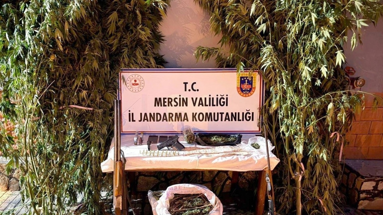 Mersin’de bahçelerine kenevir eken 3 şüpheli yakalandı