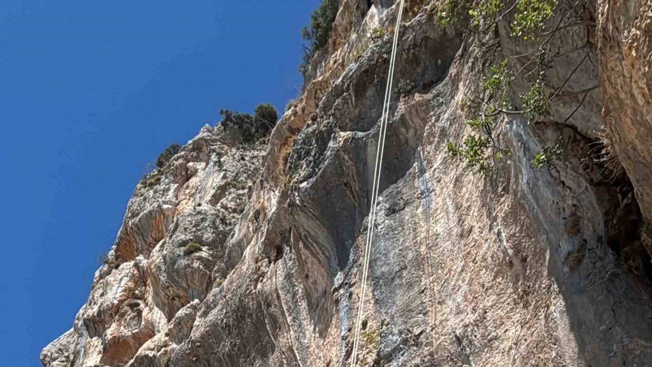 U&ccedil;urumda mahsur kalan ke&ccedil;i, itfaiye ekiplerince kurtarıldı