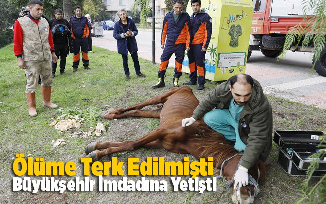 &Ouml;l&uuml;me Terk Edilmişti, B&uuml;y&uuml;kşehir İmdadına Yetişti