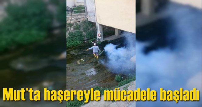 Mut&rsquo;ta haşereyle m&uuml;cadele başladı