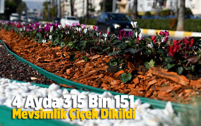 4 Ayda 315 Bin 151 Mevsimlik &Ccedil;i&ccedil;ek Dikildi