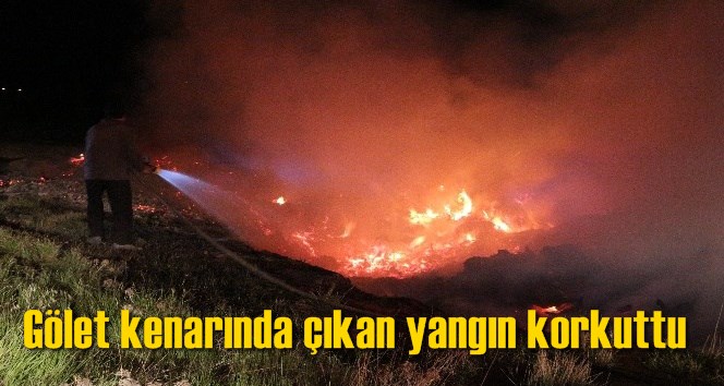 G&ouml;let kenarında &ccedil;ıkan yangın korkuttu
