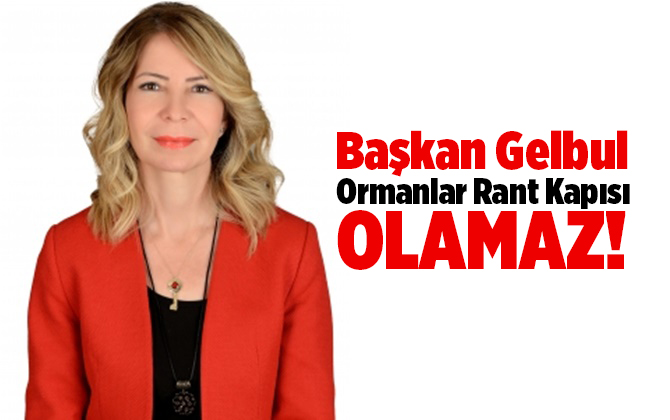 Mezitli Kent Konseyi Başkanı Sibel Gelbul'den Ağa&ccedil; Katliamı A&ccedil;ıklaması