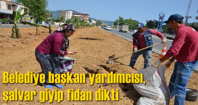 Kadın başkan yardımcısı, şalvar giyip fidan dikti