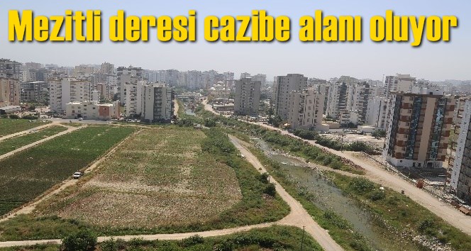 Mezitli deresi cazibe alanı oluyor