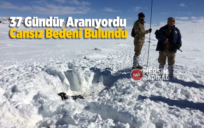 Mersin'de yaylada kaybolan kişinin cesedi 37 g&uuml;n sonra bulundu 