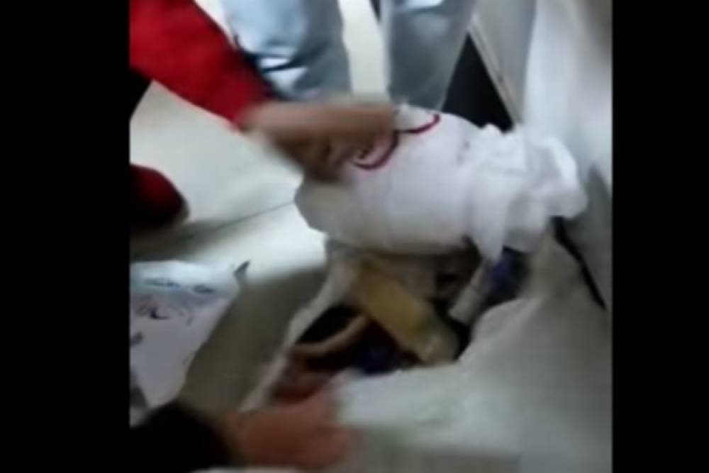 Başkan H&uuml;rriyet&rsquo;ten kalpli kumanya poşetlerine siyasi diyenlere yanıt